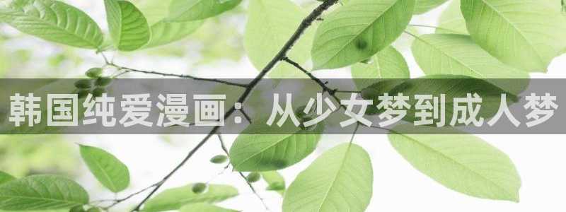 行业资讯